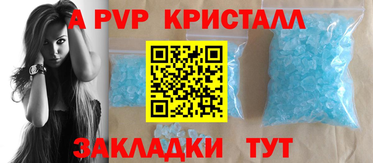 Альфа ПВП СК Курчалой