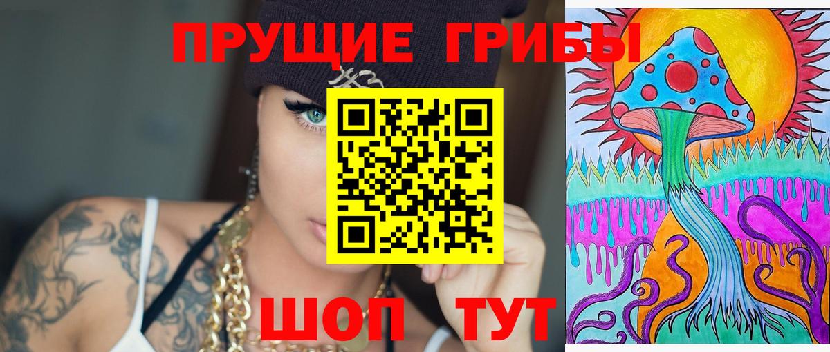 Псилоцибиновые грибы ЛСД  где можно купить   Курчалой 
