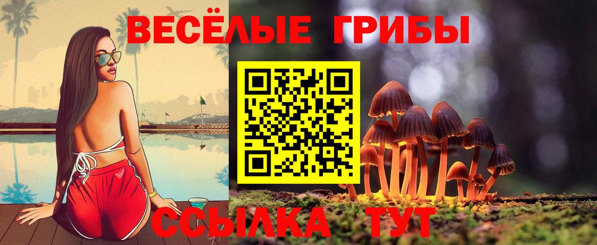 Курчалой  Псилоцибиновые грибы мухоморы  Вход с VPN 