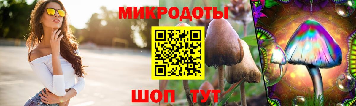 Псилоцибиновые грибы Psilocybine cubensis Курчалой